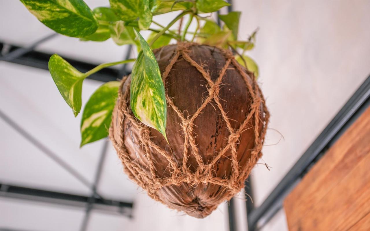 Tranquil Nest Vaavu Ξενοδοχείο Rakeedhoo Εξωτερικό φωτογραφία